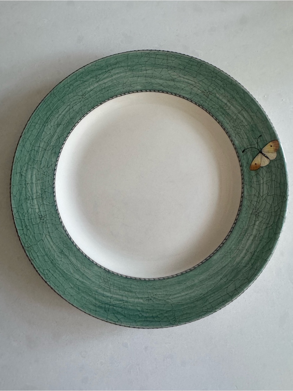 Sarah’s Garden Wedgwood Green Butterfly Rim Ceramic Dinner Plate - 7 1/4”